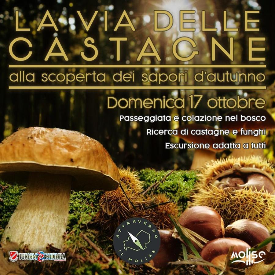 B&B A Casa Di Piero San Massimo  Zewnętrze zdjęcie